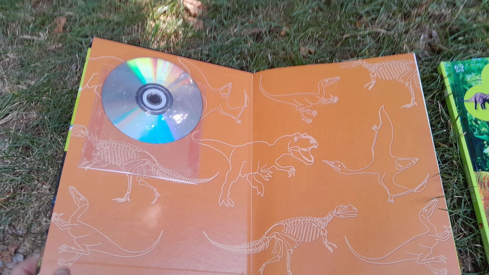 Nice dinosaur-themed set – photo 2